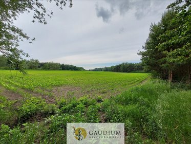 działka na sprzedaż 68100m2 działka Trzciano