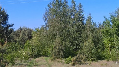 Działka rolna na sprzedaż Łękawica 11 842m2 Foto 6