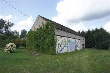 Działka rolna pod dzierżawę Krzywice 8 385m2 Foto 4