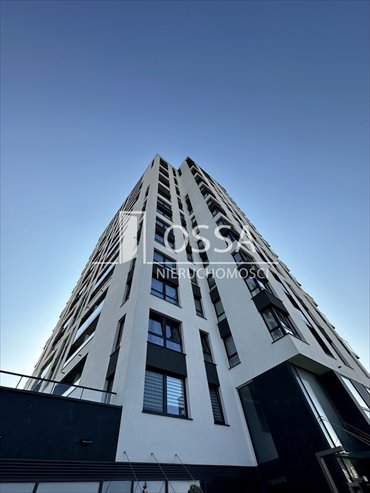 mieszkanie na wynajem 40m2 mieszkanie Gdańsk, Zaspa, Franciszka Hynka