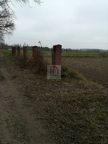Działka budowlana na sprzedaż Iżyce 9 700m2 Foto 5
