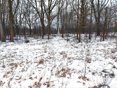 działka na sprzedaż 6307m2 działka Milanówek