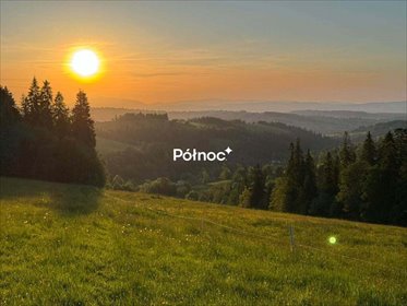 Widokowa działka w Gliczarowie Dolnym z warunkami zabudowy działka Gliczarów Dolny