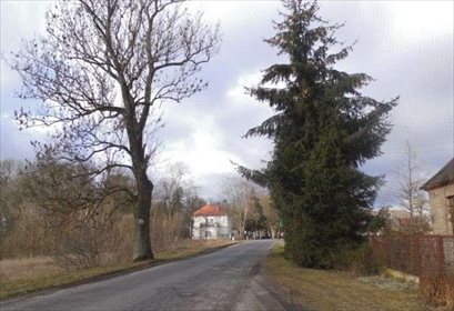 Lokal użytkowy na sprzedaż Smogulec 49m2 Foto 5