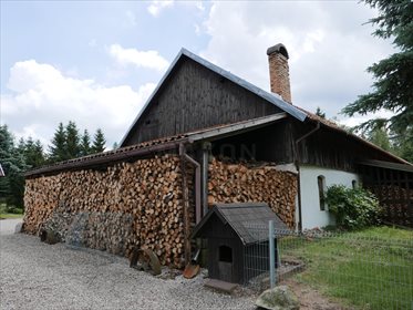 Dom na sprzedaż Stękiny 700m2 Foto 5