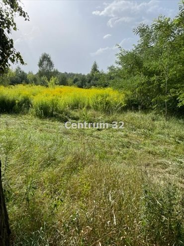 działka na sprzedaż 51200m2 działka Tarczyn, Korzeniówka, Topolowa