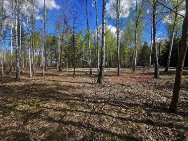Działka 1500 m² w Adamowiznie z mediami i zielenią działka Adamowizna