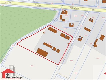 działka na sprzedaż 10000m2 działka Kalinowice