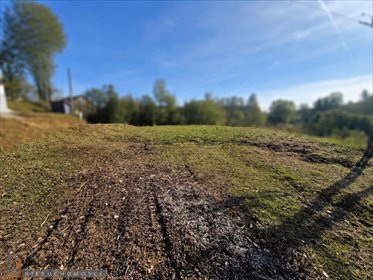 Działka budowlana 27,22 ar - Januszowice z mediami działka Januszowice