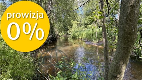 działka na sprzedaż 11580m2 działka Chociszew