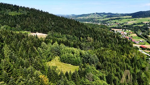 działka na sprzedaż 4000m2 działka Kąclowa