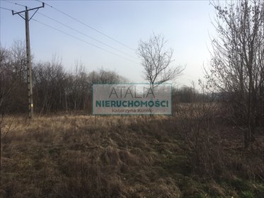 Działka usługowo-przemysłowa 30 650 m², blisko A2 działka Ożarów Mazowiecki
