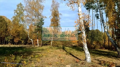 Działka z prawem zabudowy, strumyk, natura, cisza działka Zalesie