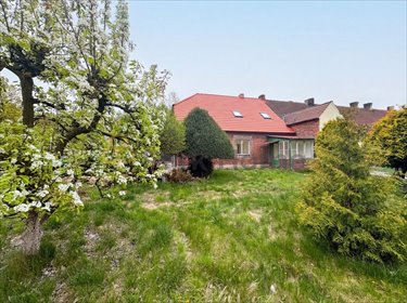 mieszkanie na sprzedaż 100m2 mieszkanie Psarskie