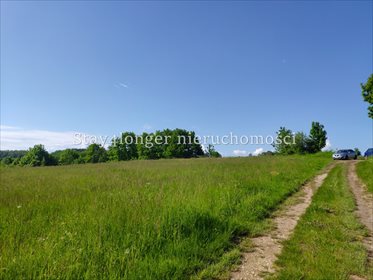 Działka rolna na sprzedaż Klecza 42 000m2 Foto 3