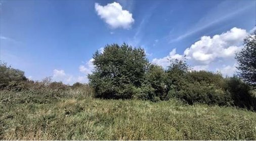 działka na sprzedaż 7600m2 działka Dziekanów Leśny