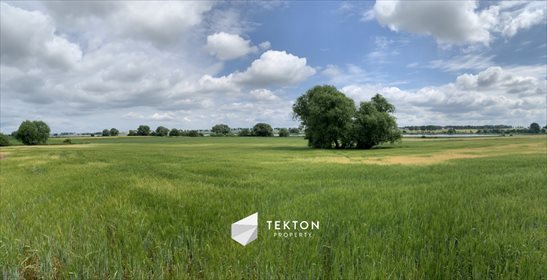 Działka rolna na sprzedaż Ślepuchowo 23 990m2 Foto 1