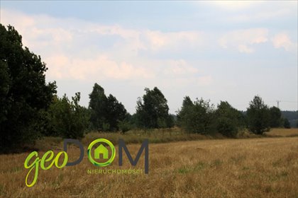 działka na sprzedaż 3000m2 działka Rogatka