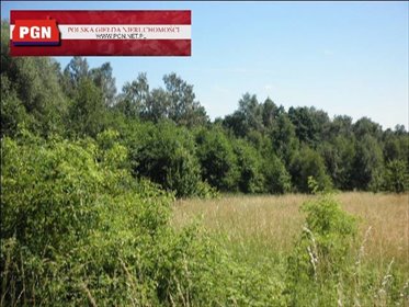 działka na sprzedaż 12120m2 działka Polanica-Zdrój