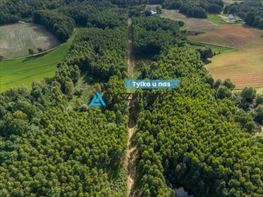 działka na sprzedaż 3000m2 działka Jeleńcz