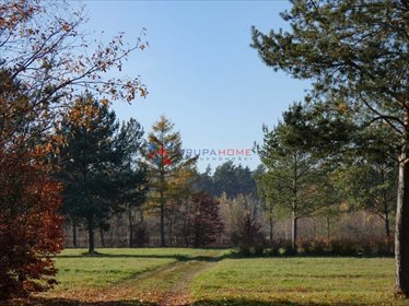 działka na sprzedaż 1001m2 działka Piskórka