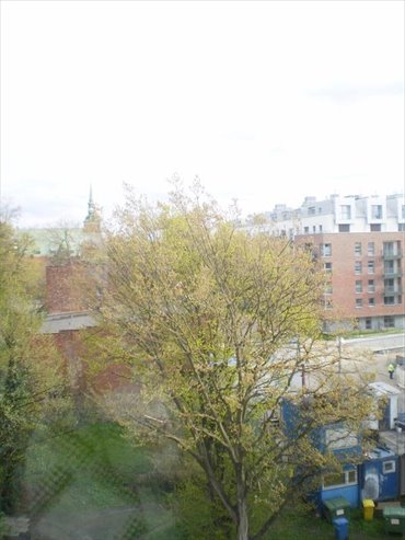 mieszkanie na wynajem 40m2 mieszkanie Gdańsk, Śródmieście, ANGIELSKA GROBLA