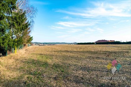 Działka budowlana na sprzedaż Różnowo 2 419m2 Foto 7