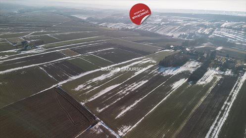 Działka budowlana na sprzedaż Gołyszyn 15 000m2 Foto 5