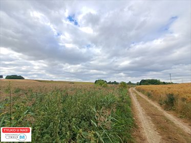 dom na sprzedaż 57m2 dom Ożarów, Prusy, Sandomierz