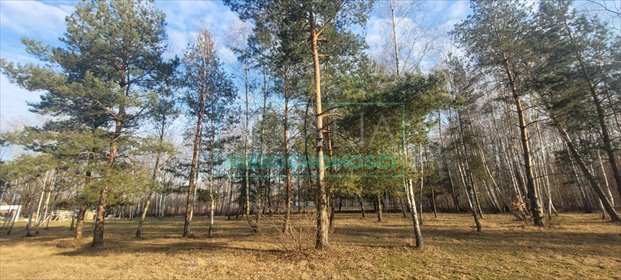 działka na sprzedaż 3000m2 działka Adamowizna