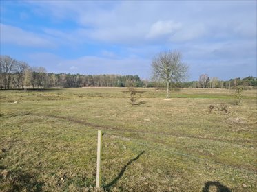 działka na sprzedaż 1000m2 działka Tanowo