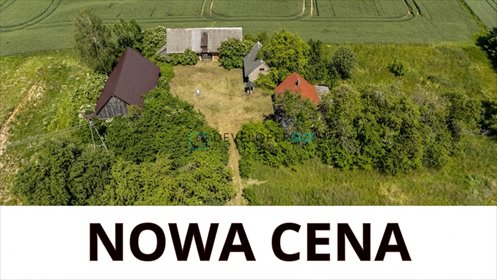 Urokliwe siedlisko 14 476 m² z potencjałem inwestycyjnym działka Białogóry, Białogóry 28
