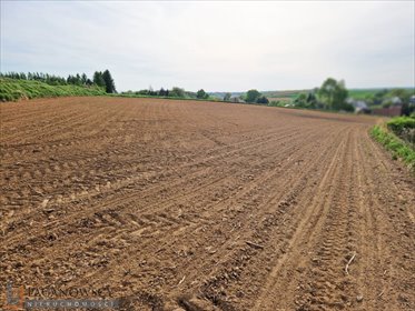 Widokowa działka 57 arów z mediami i możliwością zabudowy działka Raciborowice