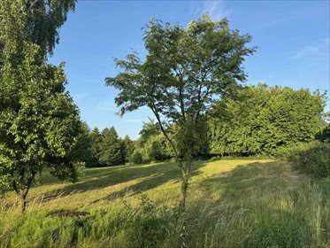 działka na sprzedaż 1417m2 działka Borówiec, Klonowa