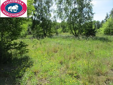 Działka 17 523 m² z możliwością zabudowy i rozwoju. działka Długokąty