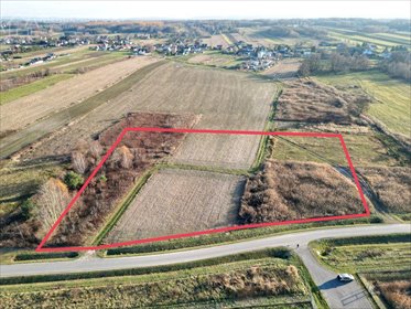 działka na sprzedaż 10024m2 działka Zaczarnie