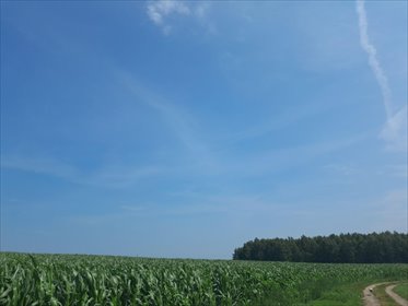 działka na sprzedaż 800m2 działka Śliwice, Śliwice, Żytnia