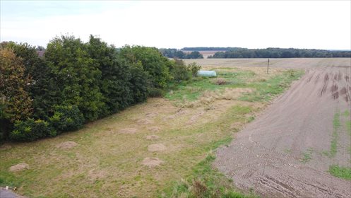 Działka budowlana na sprzedaż Suszki 1 171m2 Foto 1