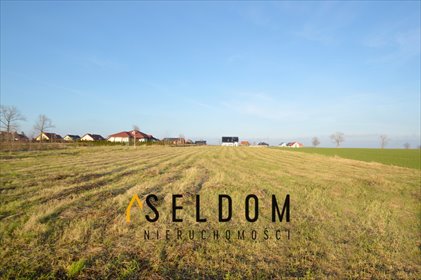 działka na sprzedaż 2200m2 działka Grzybiany