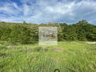 działka na sprzedaż 105500m2 działka Czermnica