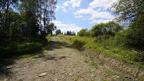 działka na sprzedaż 3348m2 działka Nowica