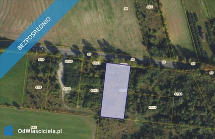 działka na sprzedaż 3100m2 działka Dębogórze