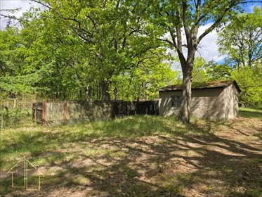 Sprzedam działkę 2600 m² z budynkiem w lesie w Słubicach działka Słubice