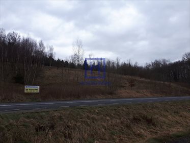 Działka budowlana na sprzedaż Kościelniki Górne 2 789m2 Foto 4