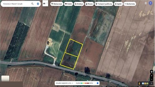 działka na sprzedaż 3000m2 działka Głuchów Dolny