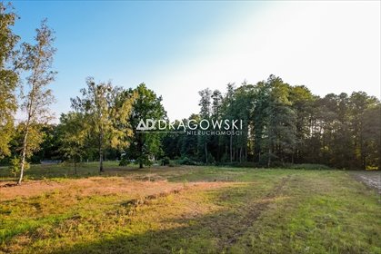 działka na sprzedaż 3000m2 działka Zalesie