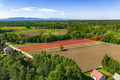 Działka 1,1778 ha z warunkami zabudowy i dostępem do mediów działka Grojec, Czajki