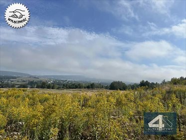 działka na sprzedaż 16000m2 działka Huta Nowa, Huta Nowa