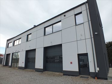 lokal użytkowy na wynajem 900m2 lokal użytkowy Maszków