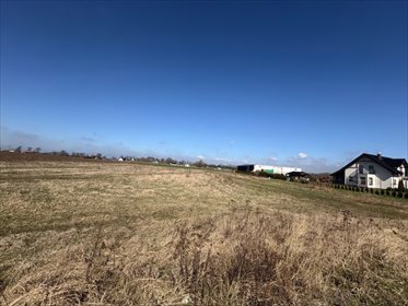 Działka 5100 m² pod domy wolnostojące z mediami działka Maszewo, POLNA